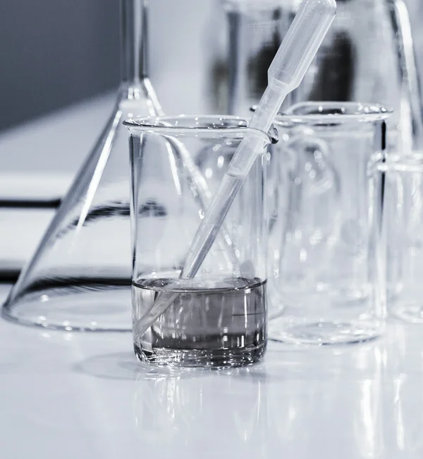 Forschende untersuchen Einfluss von Pilzgift auf Proteinproduktion menschlicher Zellen