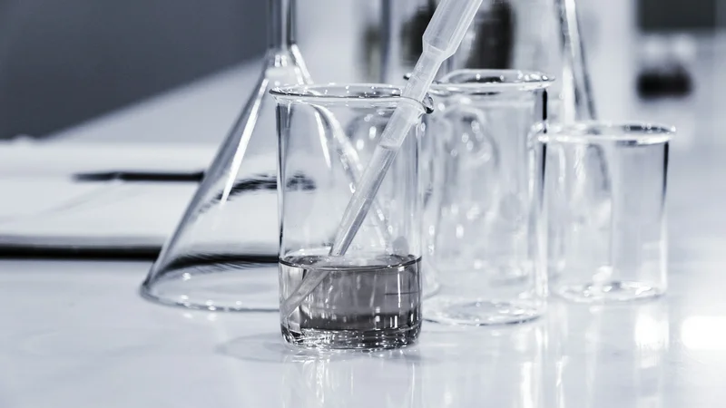 Forschende untersuchen Einfluss von Pilzgift auf Proteinproduktion menschlicher Zellen